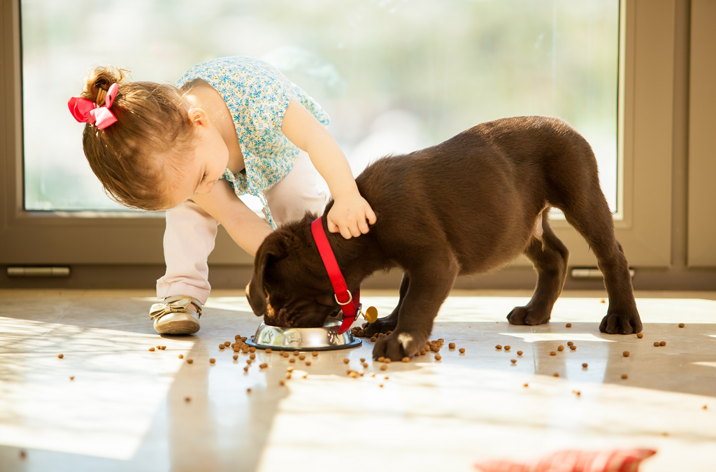Built to Last: The Best Home Finishes for Pets and Kids