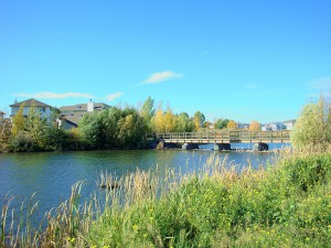 Past Project - Bridlewood Creek in Calgary, AB