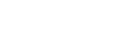 UDI Logo