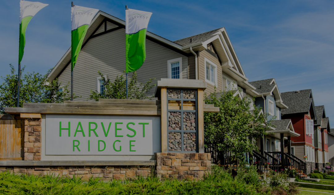 Discover Harvest Ridge in Spruce Grove!