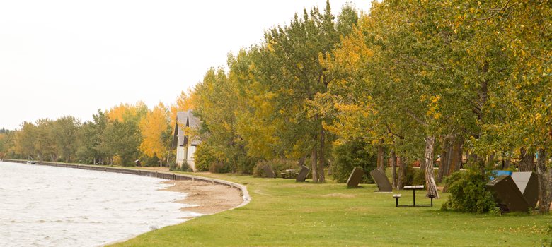 Sylvan Lake Nature Image