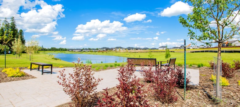 seating area near the Harvest Ridge pond image