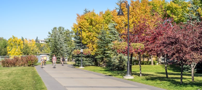 Calgary neighbourhood walking path with trees image